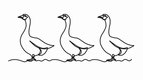 Self drawing animation with one continuous line draw, abstract three geese Stock Footage 270912677