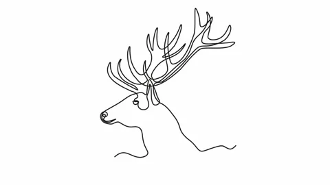 Self drawing animation with one continuous line draw, logo, abstract Deer Head Stock Footage 271573938