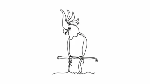 Self drawing animation with one continuous line draw, logo, abstract parrot 動画素材 271573941
