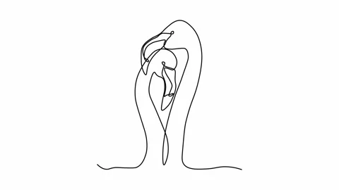 Self drawing animation with one continuous line draw, logo, pair flamingo Stock Footage 273681414