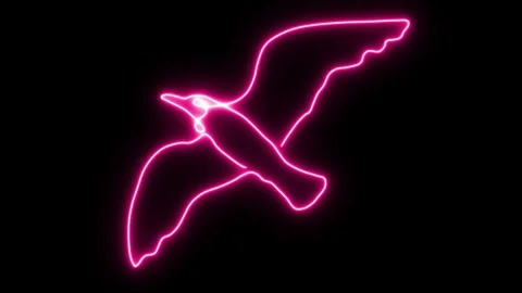 Self drawing animation one continuous line draw, logo,  flying bird,  seagull Stock Footage 274665634