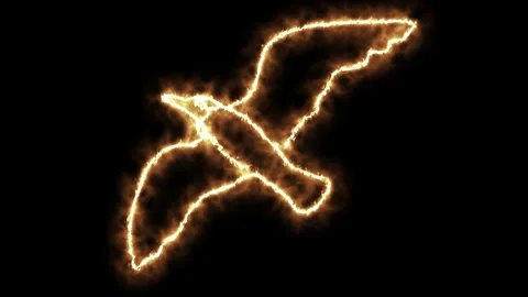 Self drawing animation one continuous line draw, logo,  flying bird,  seagull Stock Footage 274665643