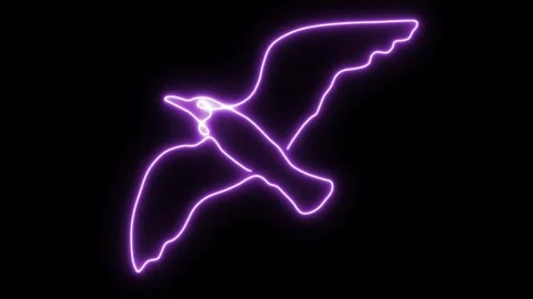 Self drawing animation one continuous line draw, logo,  flying bird,  seagull Stock Footage 274666324