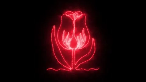 Self drawing animation one continuous line draw, logo, burning red fire tulip 스톡 동영상 277382889