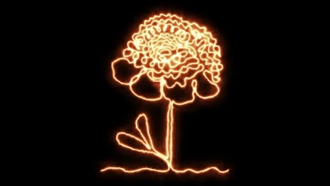 Self drawing animation one continuous line draw, logo, burning fire peony flower 스톡 동영상 277382890