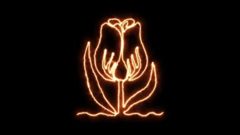 Self drawing animation one continuous line draw, logo, burning fire tulip flower 스톡 동영상 277382892