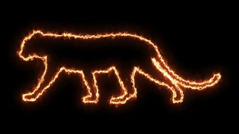 Self drawing animation one continuous line draw, logo, crouching leopard,panther Stock Footage 277388057