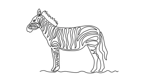 Self drawing animation one continuous line draw, logo, abstract zebra Stock Footage 278260761