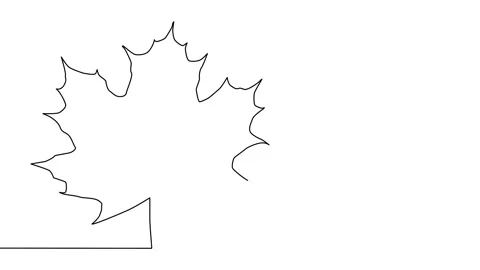 Self drawing animation of one line drawing of isolated maple leaf Stock Footage 139822471