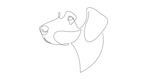 Self drawing animation of one line drawing German Shorthaired Pointer dog Stock Footage 164233829