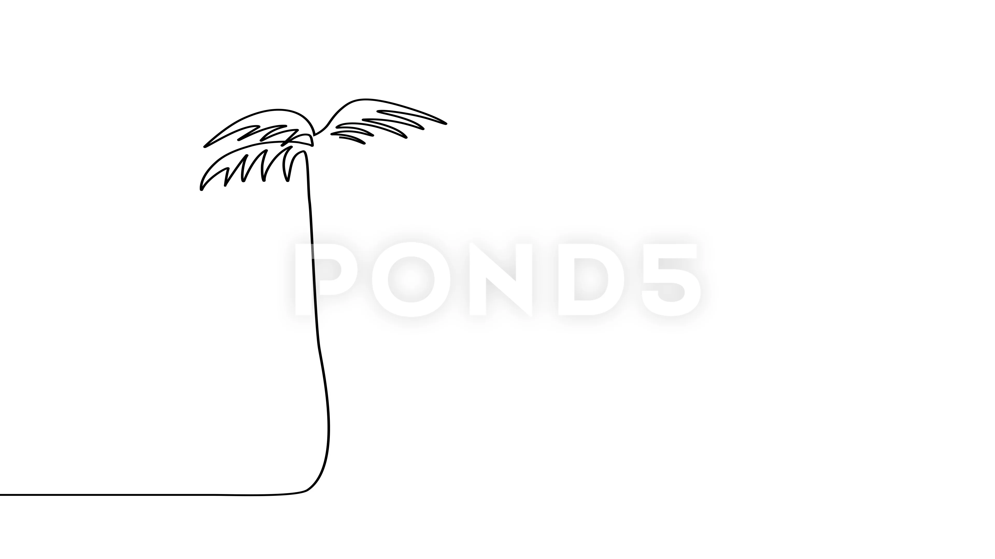 Palm Tree Drawing png download - 2400*1551 - Free Transparent Drawing png  Download. - CleanPNG / KissPNG