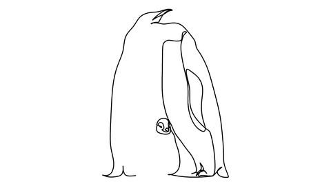 Self drawing animation of penguins emperor - continuous line drawing Stock Footage 128424457