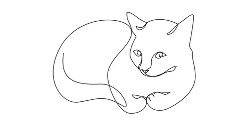 Self drawing animation of satisfied cat lies on a white background. Simple Stock Footage 164408651