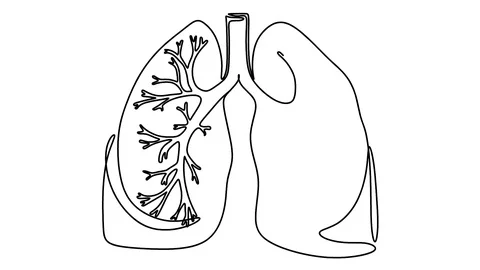Self drawing animation of single continuous line art anatomical human lungs. Stock-Footage 128420705