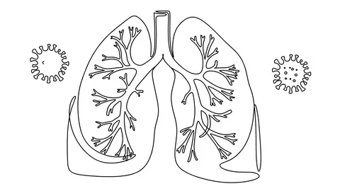 Self drawing animation of single continuous line art anatomical human lungs Stock Footage 128420978