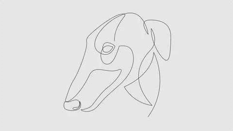 Self drawing animation of single line drawing Greyhound dog head Stock Footage 171131449