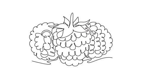 Self drawing animation of single line draw of whole healthy organic raspber.. 動画素材 276846249