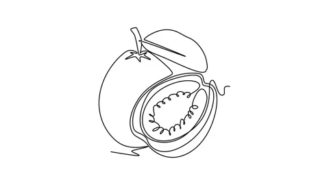 Self drawing animation of single line draw whole and half sliced healthy or.. Stock Footage 277357310