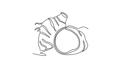 Self drawing animation of single line draw whole healthy organic taro for f.. Stock Footage 281833797