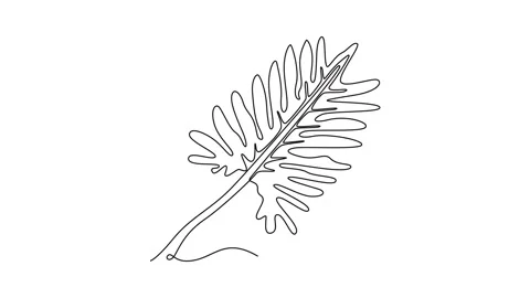Self drawing animation of single line draw of tropical leaf plant. Printabl.. Stock Footage 289955317