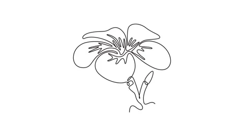 Self drawing animation of single line draw beauty fresh plumeria for garden.. Stock Footage 295712689