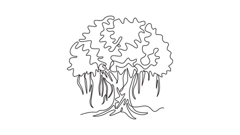 Self drawing animation single line draw shady and leafy banyan tree logo. D.. Stock Footage 301604497
