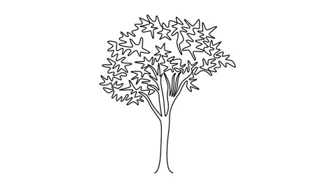 Self drawing animation single line draw big beauty exotic maple tree for ho.. Stock Footage 302546928