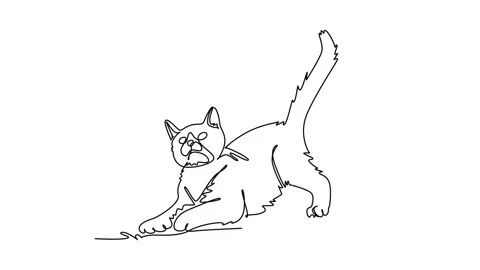 Self drawing animation of single line draw pet cat playfully stretching its.. Stock Footage 344920024