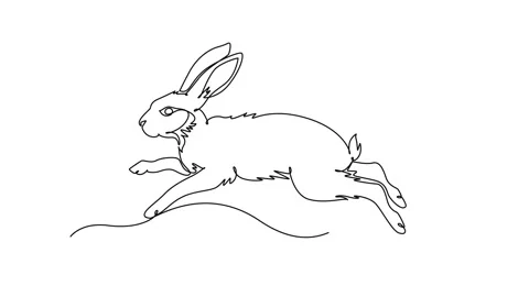 Self drawing animation of single line draw pet rabbit hare running and leap.. Vidéo 344920027