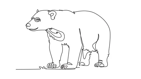 Self drawing animation of single line draw wild sun bear standing on all fo.. Stock Footage 346643658