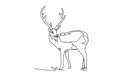 Deer Drawing Stock Videos – Royalty-Free HD & 4K Videos