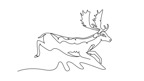 Deer Drawing Stock Videos – Royalty-Free HD & 4K Videos