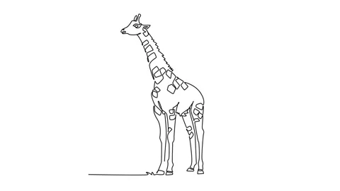 Self drawing animation of single line dr... | Stock Video | Pond5