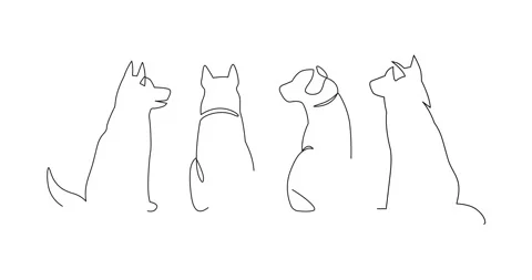 Self drawing animation of sitting dog from back. Hand drawn illustration, back Stock Footage 164408646