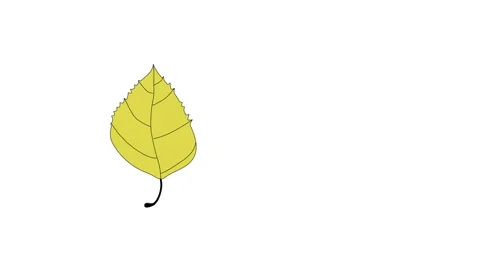 Self drawing animation of yellow birch leaf. Line art illustration. Copy space. Stock Footage 131773335