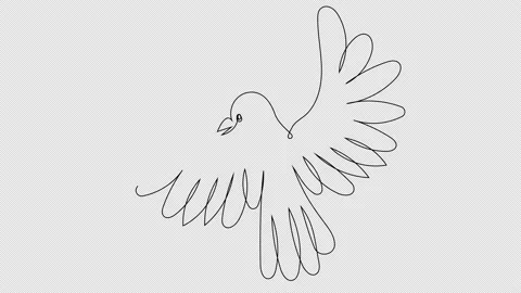 Self-drawing bird continuous line on white screen Video stock 165524689