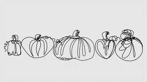 Self-drawing contour of pumpkins in one line. Stock Footage 161905894