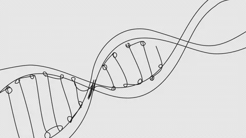 Self-drawing DNA spirals in one line Stock Footage 166538022