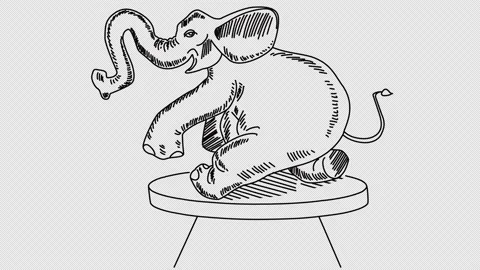 Self-drawing elephant in sketch style Stock Footage 148170141