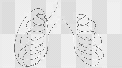 Self-drawing human lungs single line in doodle style Stock Footage 166537973