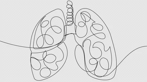 Self-drawing lungs with one line Stock Footage 157004226