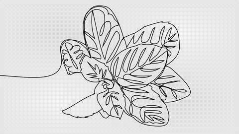 Self-drawing one-line mint Stock Footage 156183003