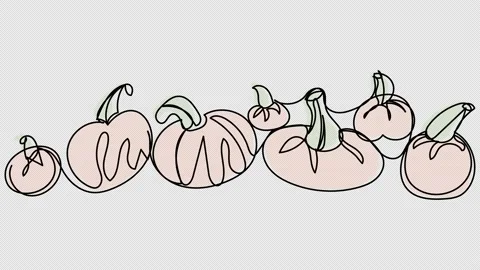 Self-drawing orange pumpkins one line Stock Footage 161906357