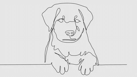 Self-drawing of a puppy with paws in one line. Stock Footage 237526996