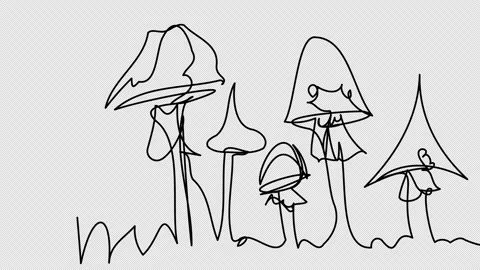 Self-drawing of red fly agarics in one line Video stock 169176672