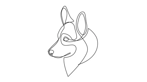 Self drawing simple animation of line drawing Welsh Corgi Pembroke dog Stock Footage