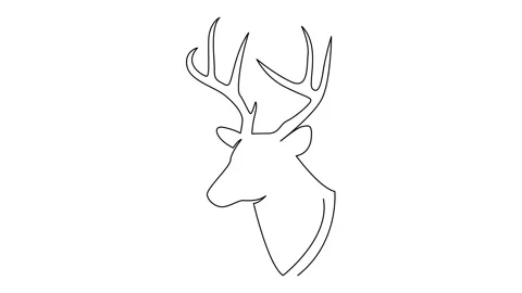 Deer Line Drawing Stock Video Footage | Royalty Free Deer Line Drawing ...