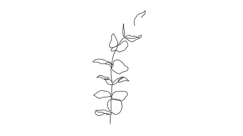 Self drawing simple animation of single continuous one line drawing flower Stock-Footage 128419256
