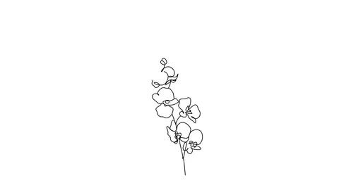 Self drawing simple animation of single continuous one line drawing flower Stock-Footage 128419296