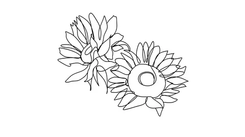 Self drawing simple animation of single continuous one line drawing flower Stock-Footage 128419367